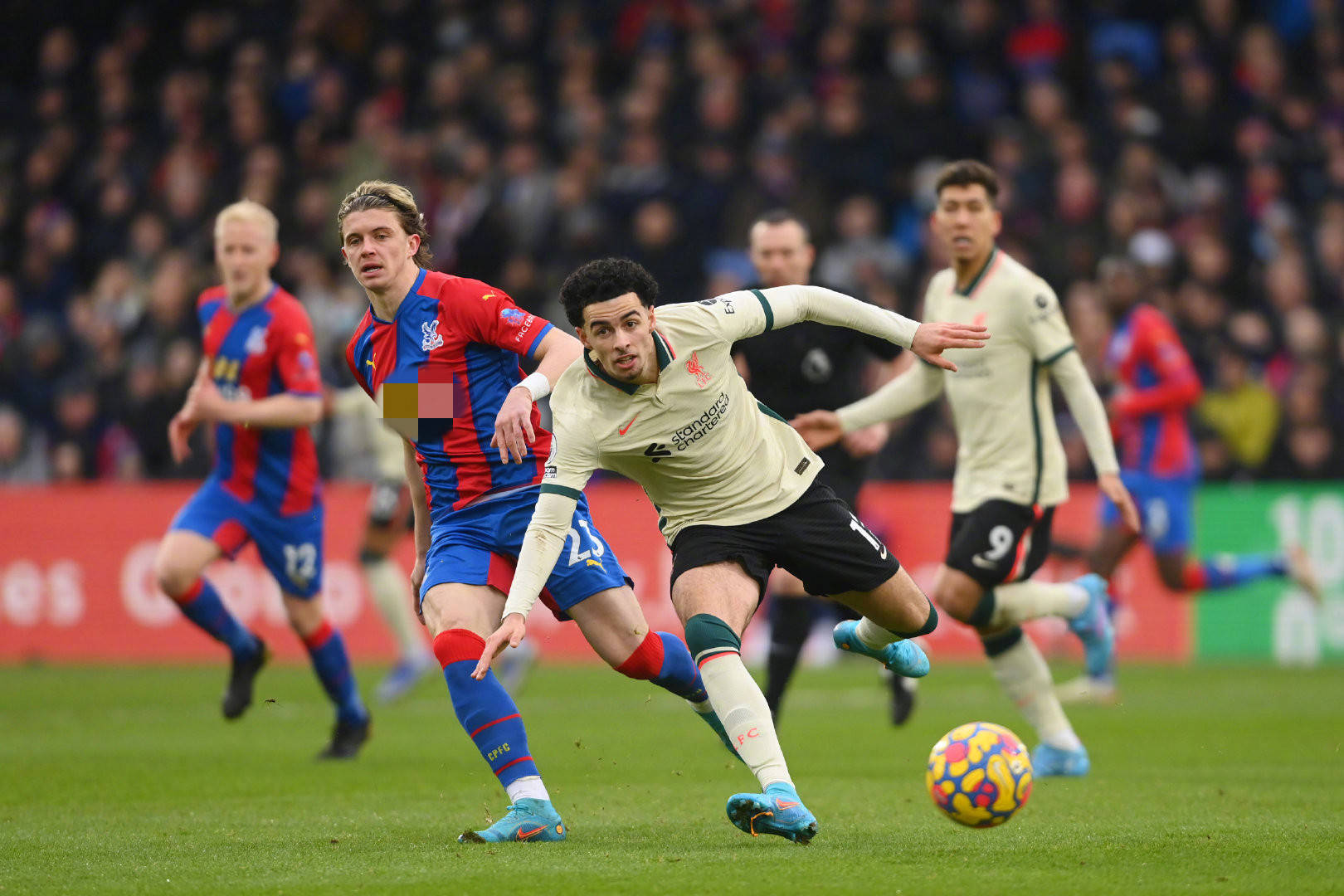 可或缺性 可或缺性